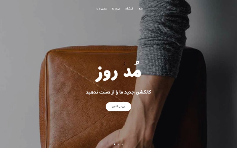 طراحی وب سایت چرم بوفالو